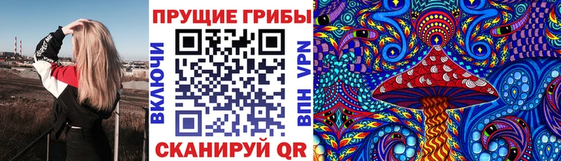 Галлюциногенные грибы GOLDEN TEACHER  Купить  Верхоянск 